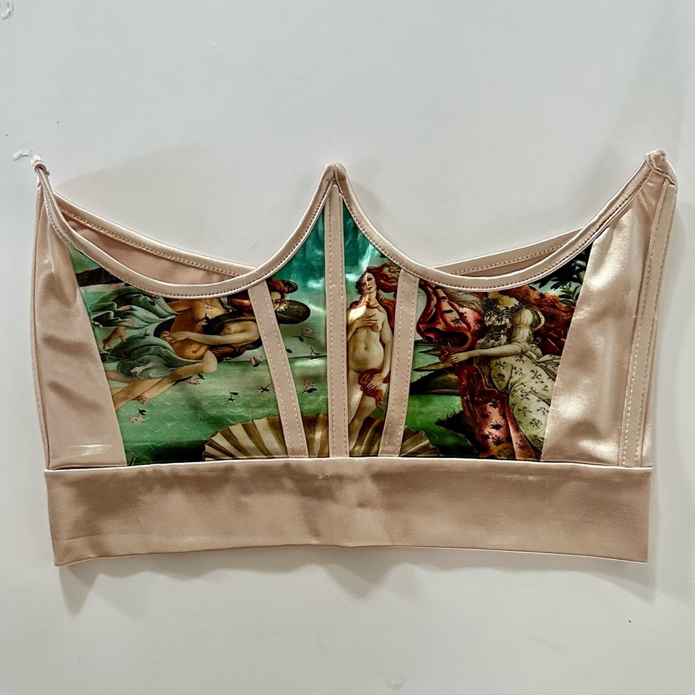 Renaissance waist cincher